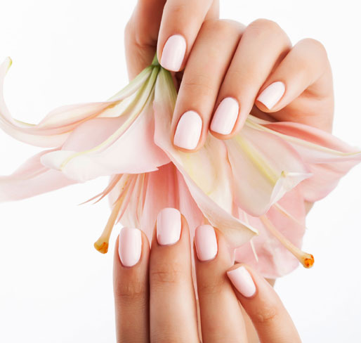 Polished Mobile Nails - Light Pink Gel Nails Holding A Flower